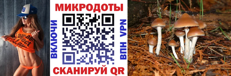 Галлюциногенные грибы мицелий Старица